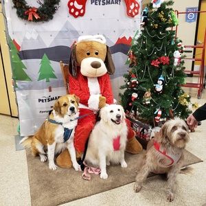 Meet your Posher, Robin